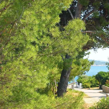 Apartments Villa Rea Apartment Orebic