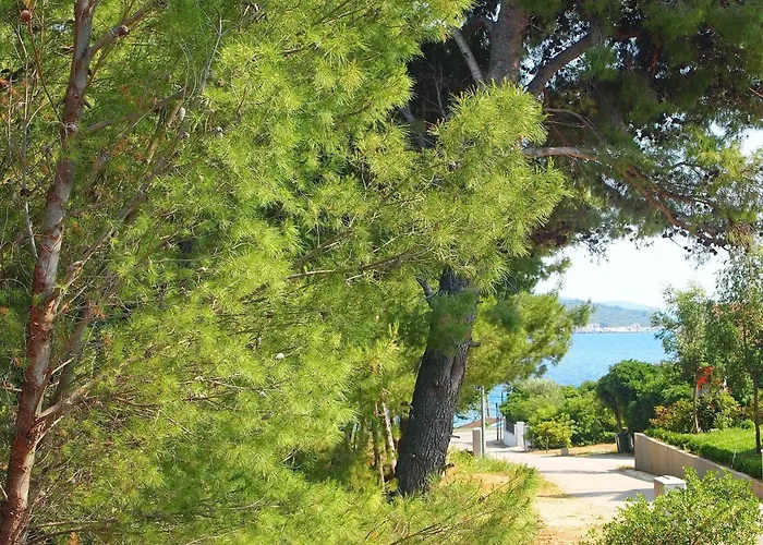 شقة Rea أوروبيتش